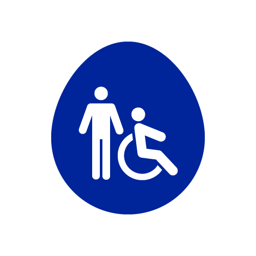 anziani e disabili